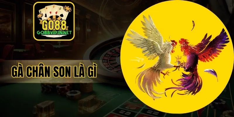 ga chan son la gi