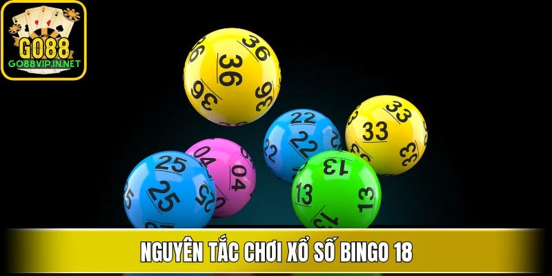 Nguyên tắc chơi xổ số Bingo 18
