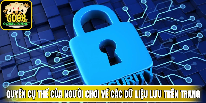 Quyền cụ thể của người chơi về các dữ liệu lưu trên trang